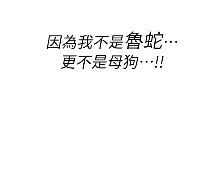 第256页