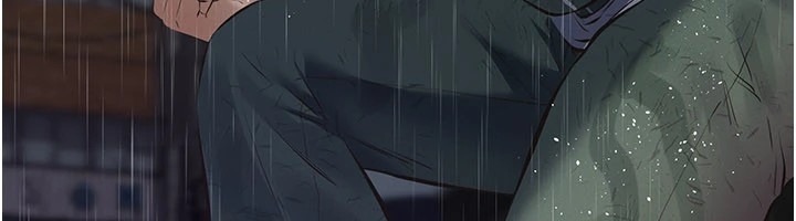 第241页