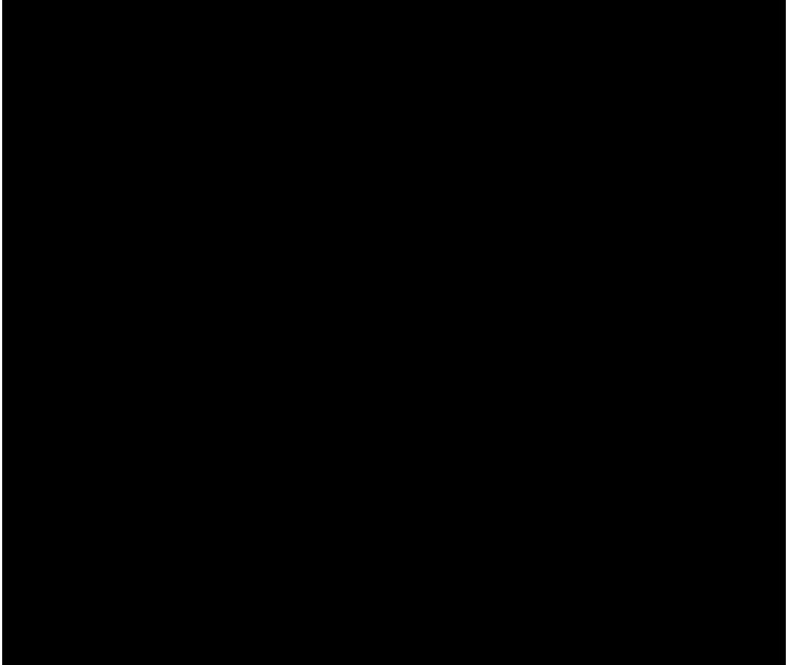 第251页