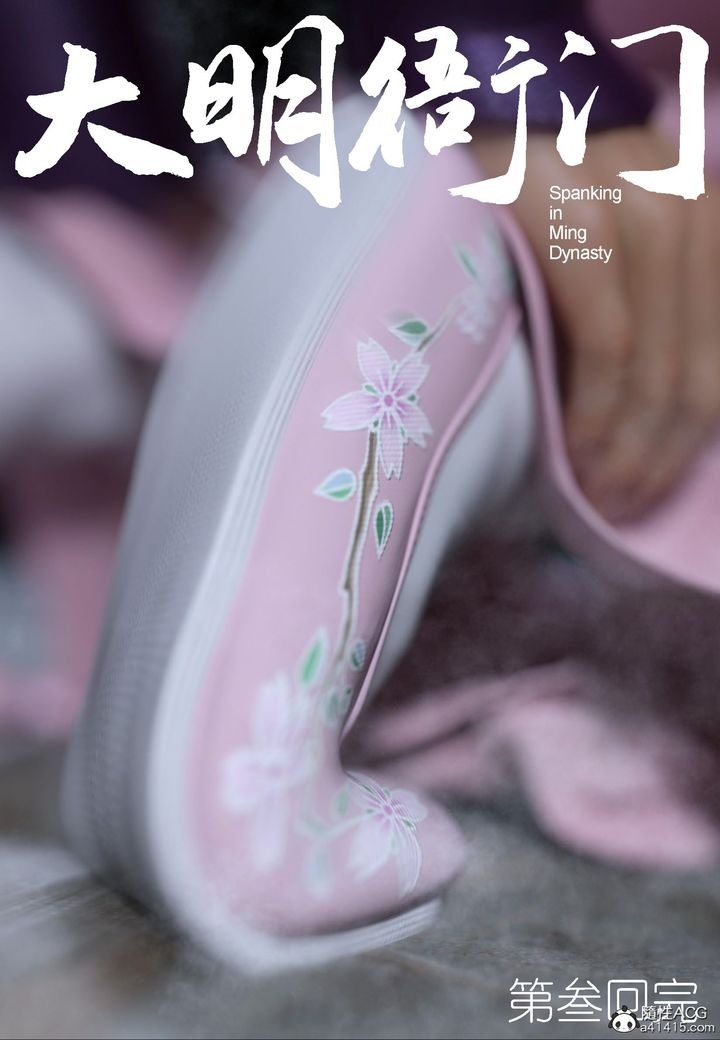 第41页