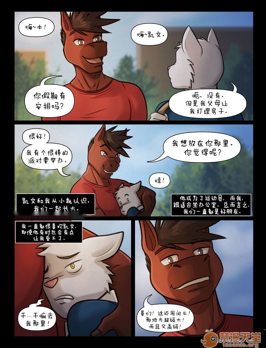 第3页