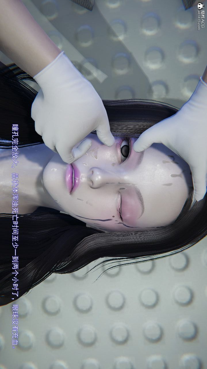 第81页