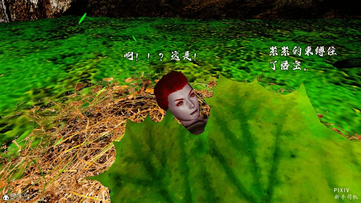 第221页