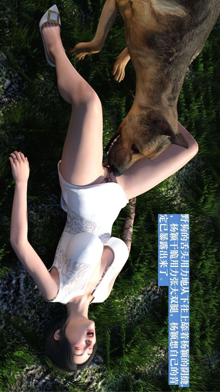 第36页