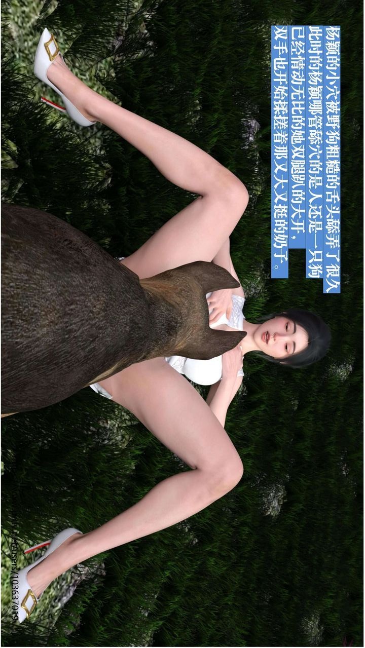 第43页