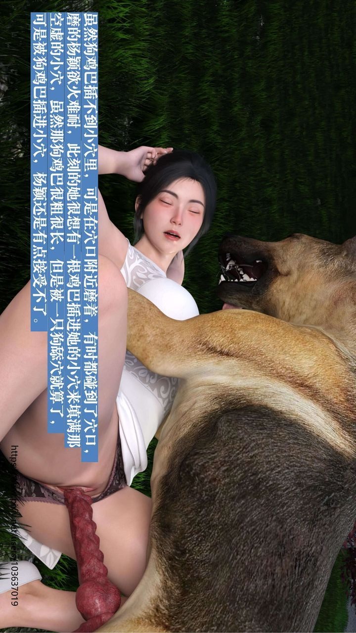 第49页