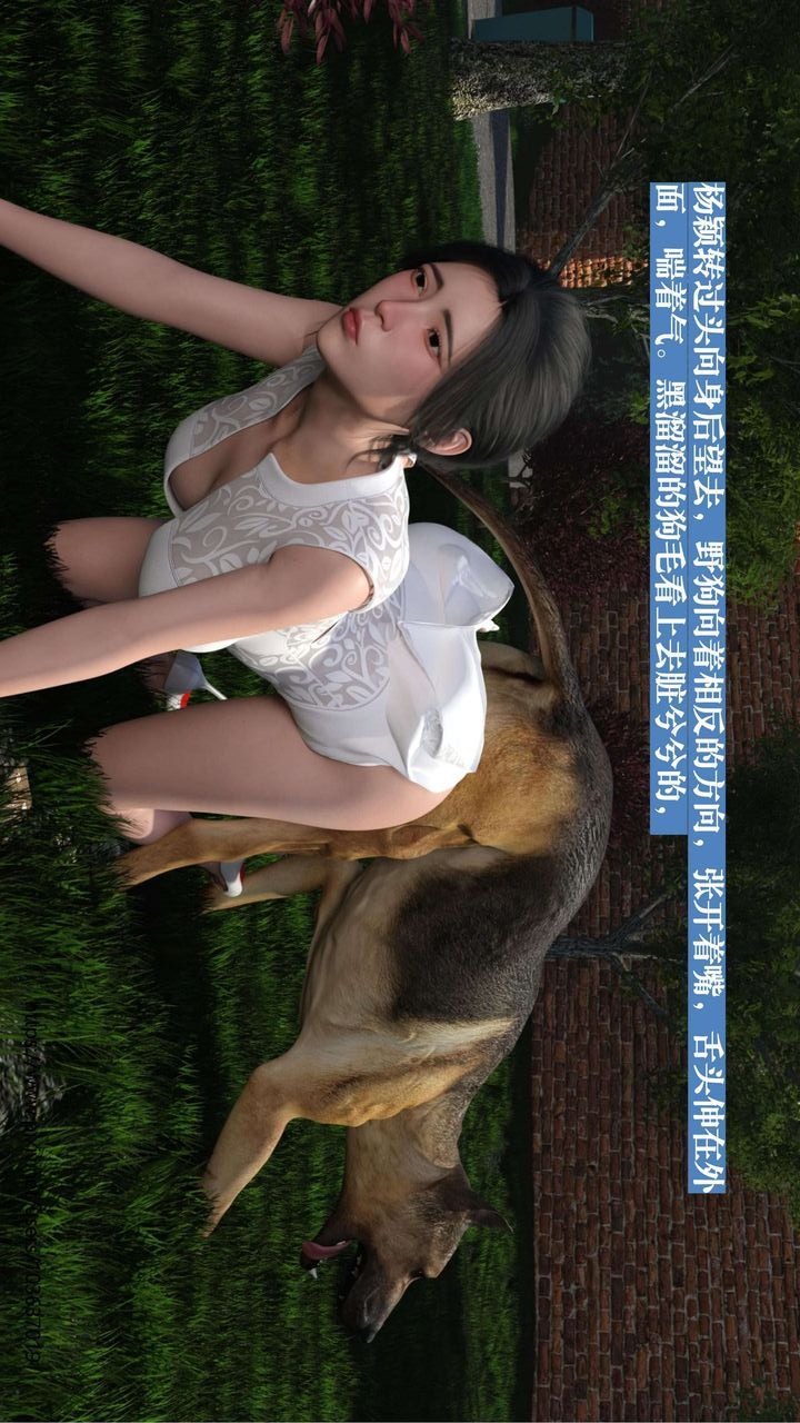 第102页