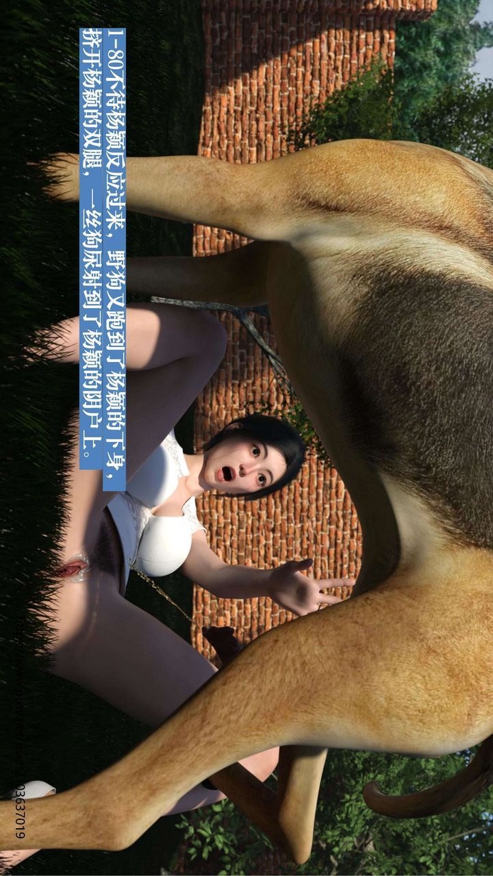 第113页