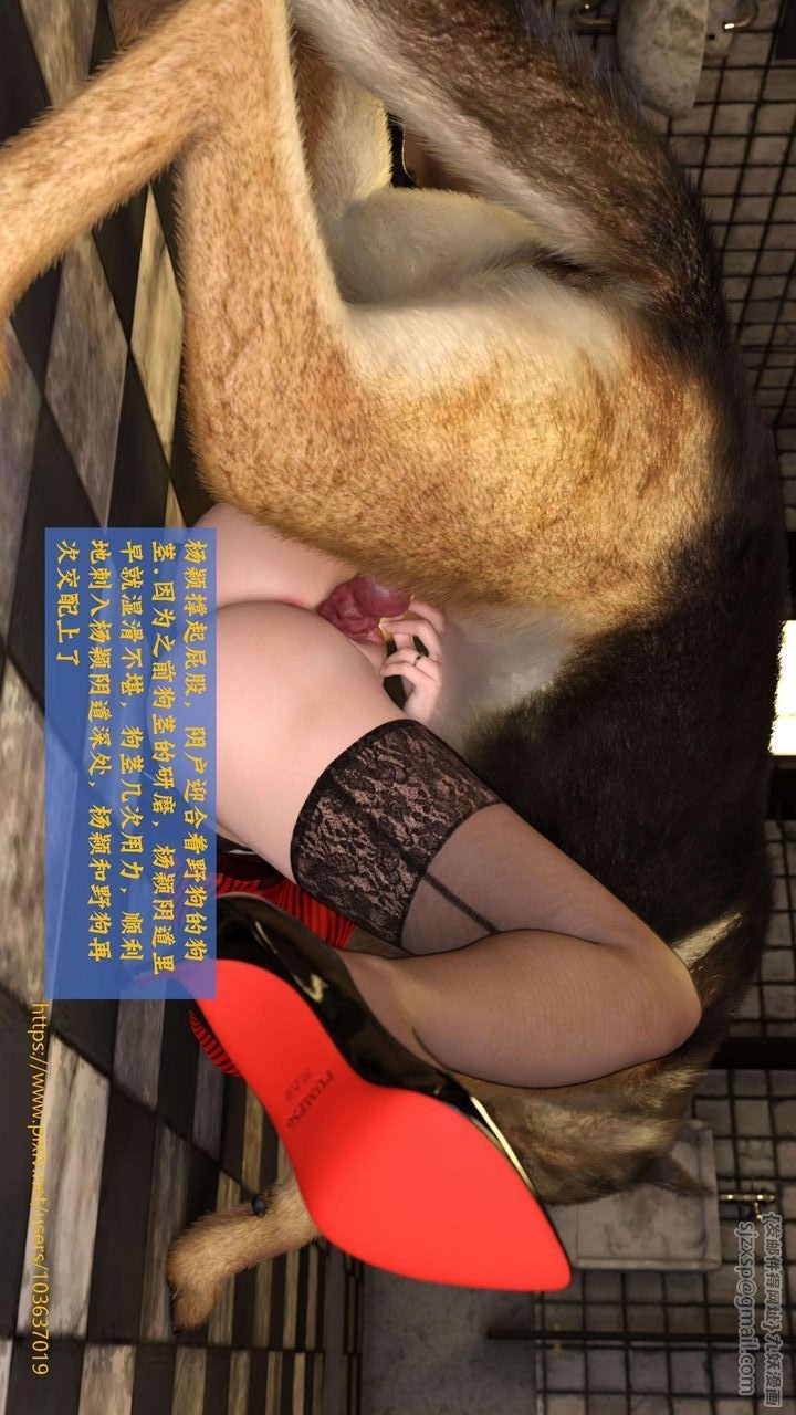 第46页