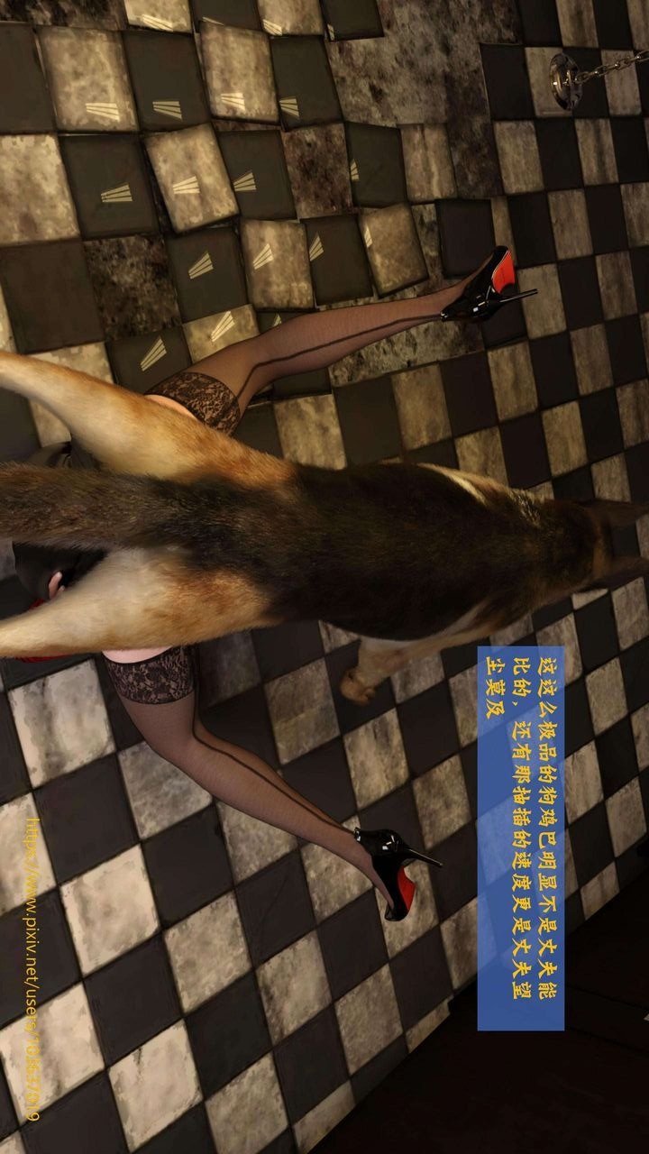 第51页