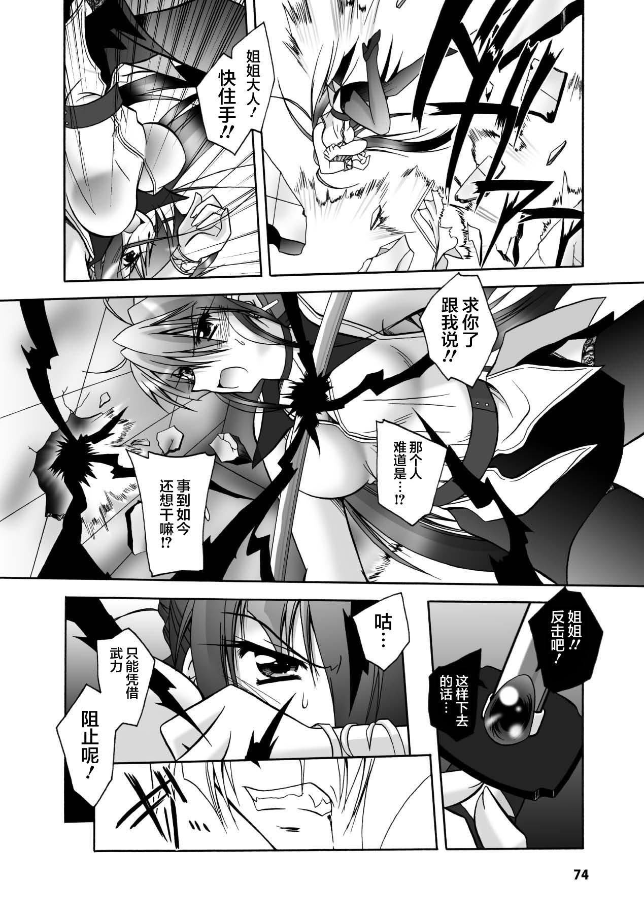 第73页