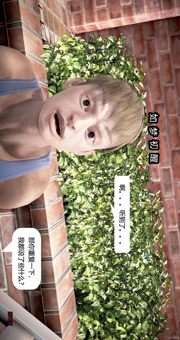 第17页