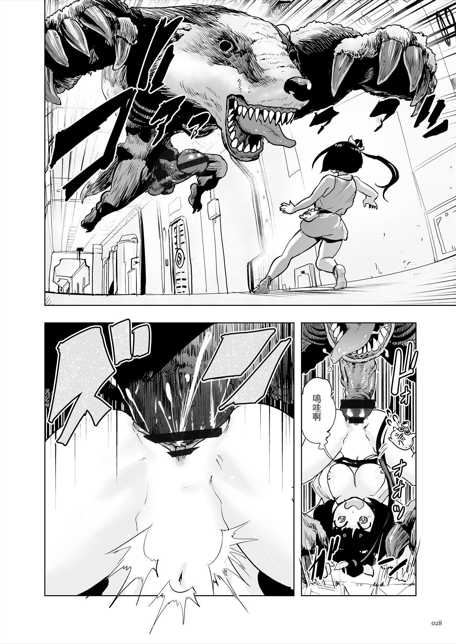 第27页