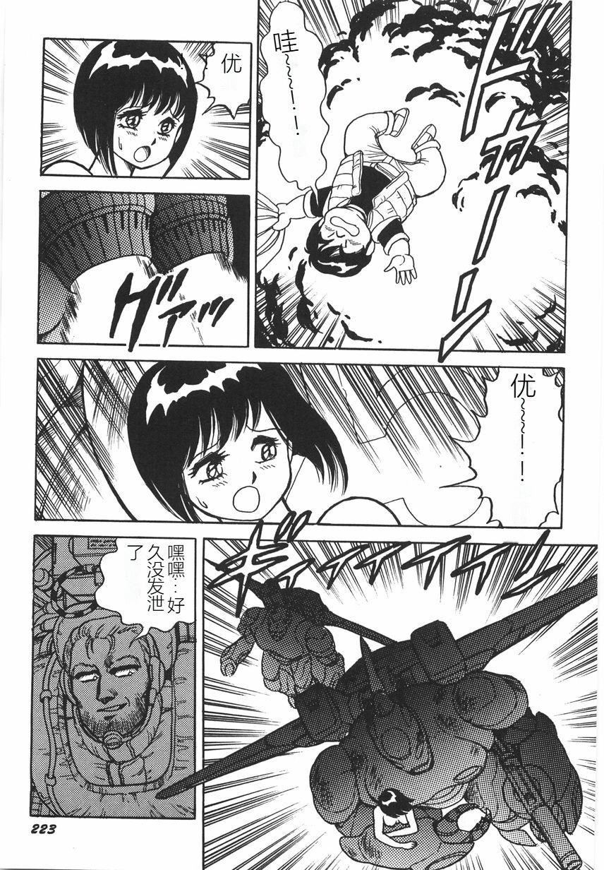 第228页