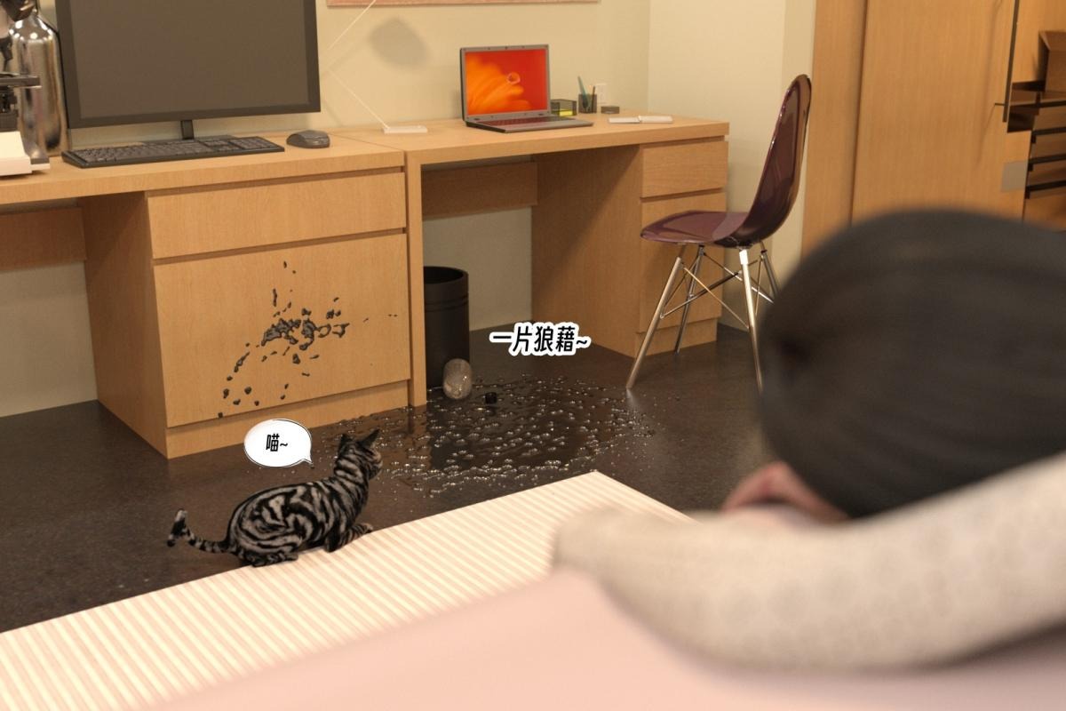 第62页