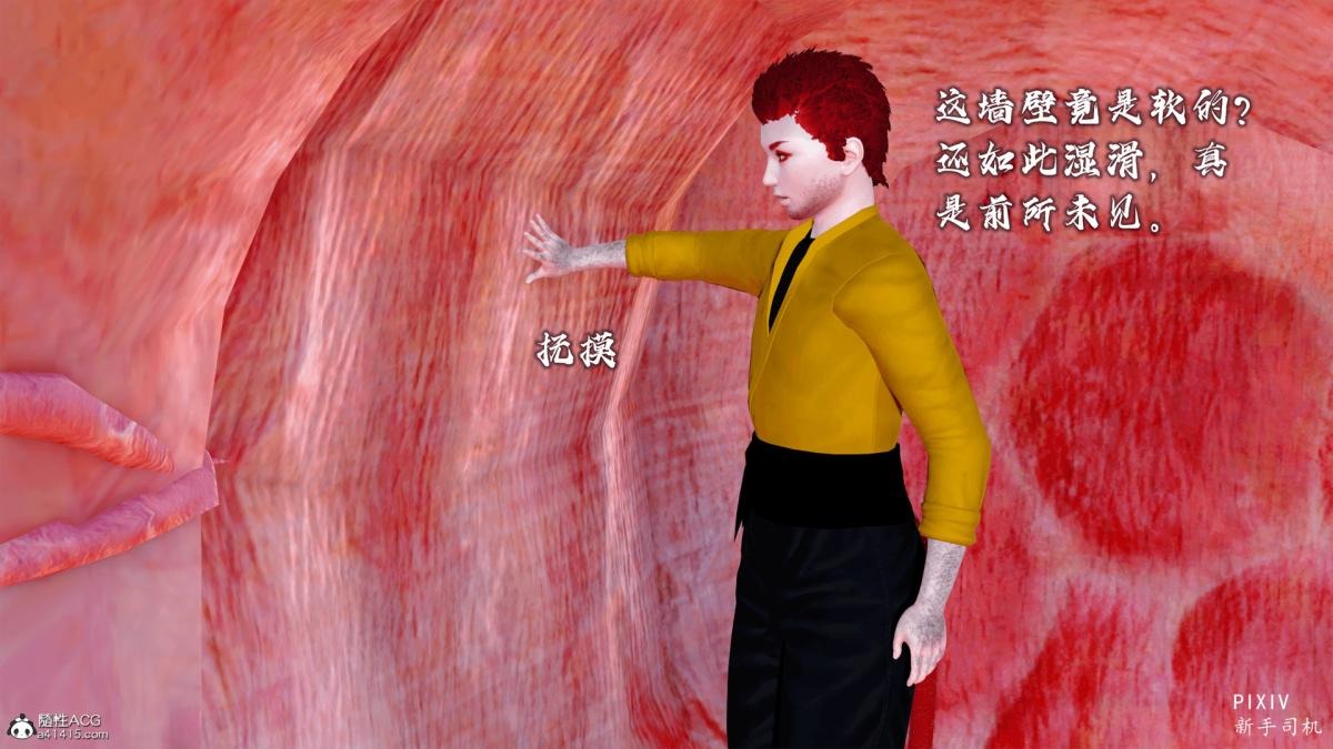 第81页