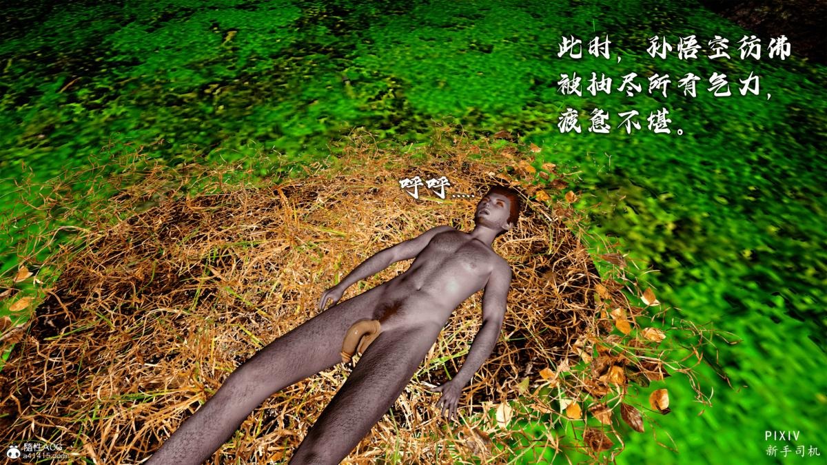 第214页