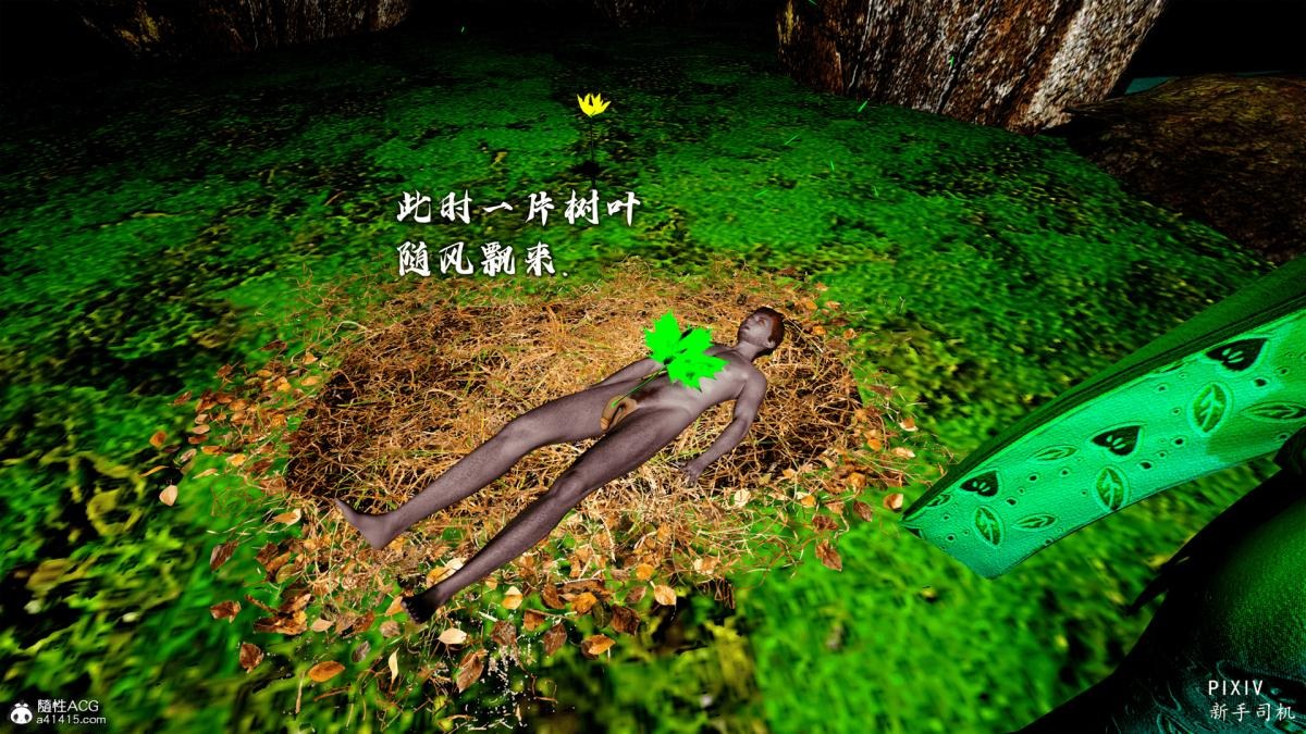 第219页