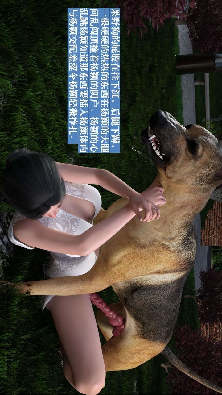 第51页