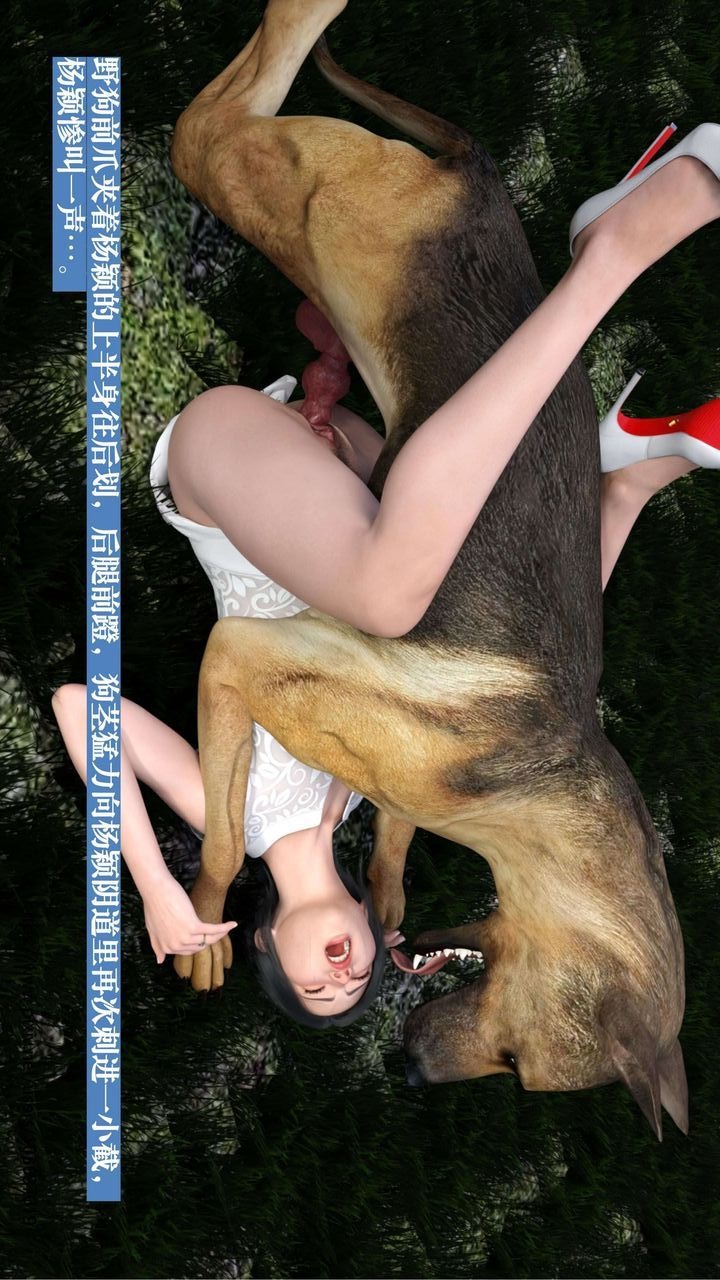 第68页