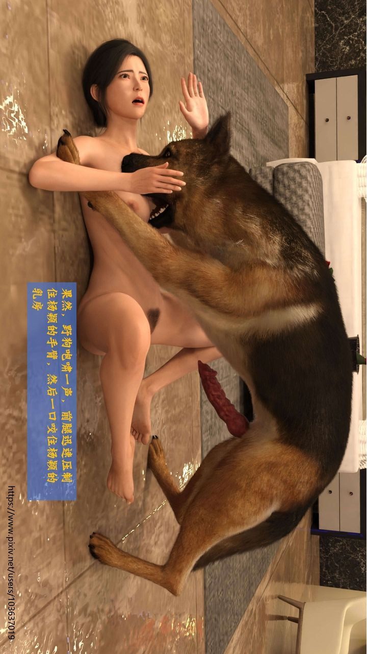 第43页