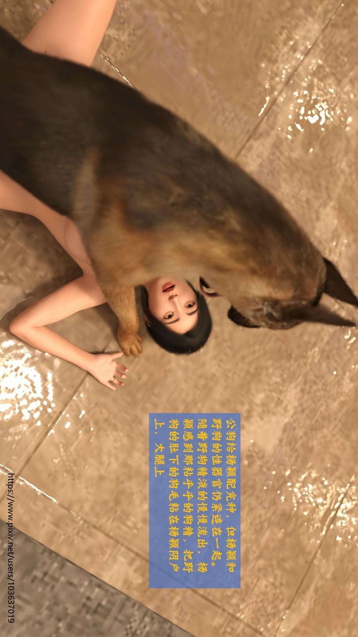 第71页