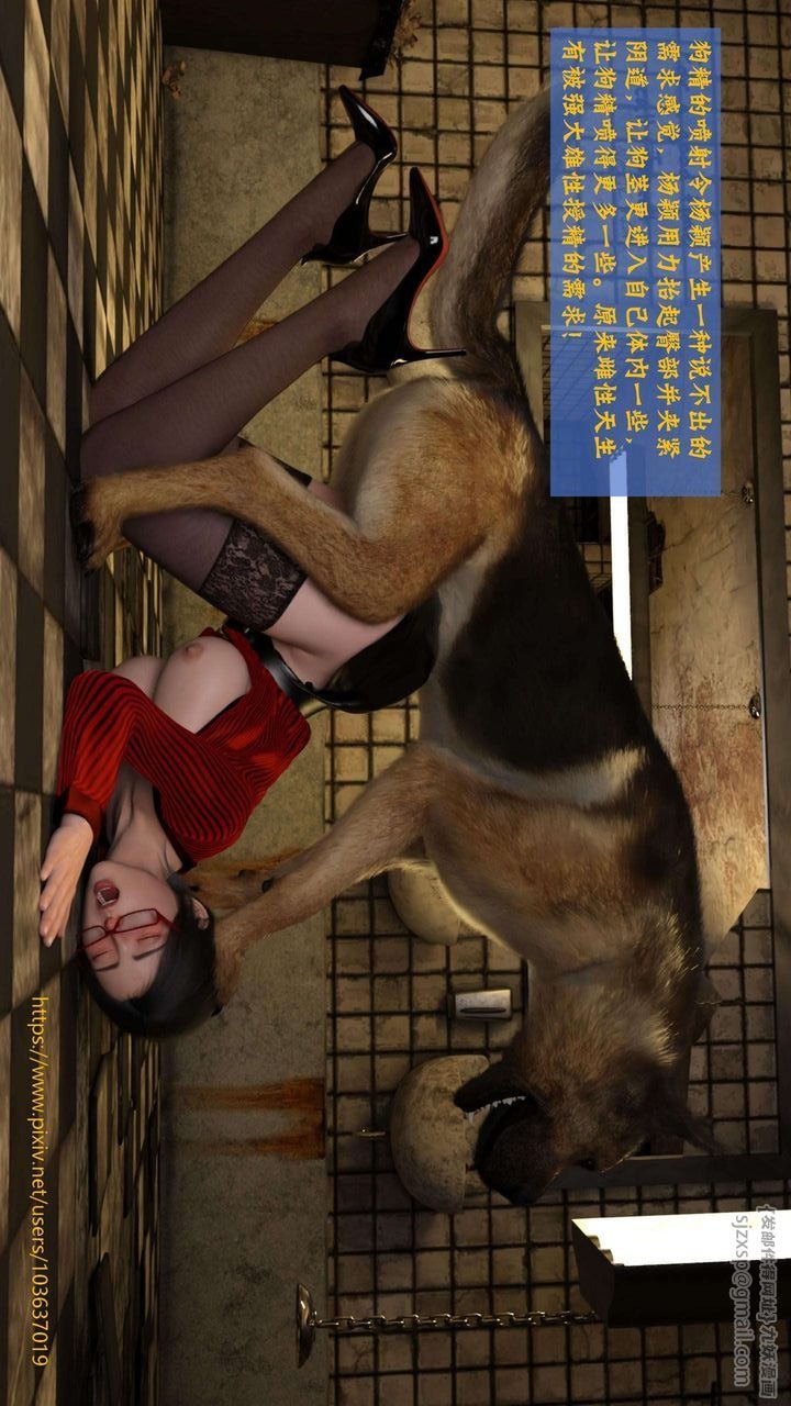 第64页
