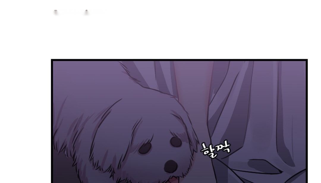 第254页
