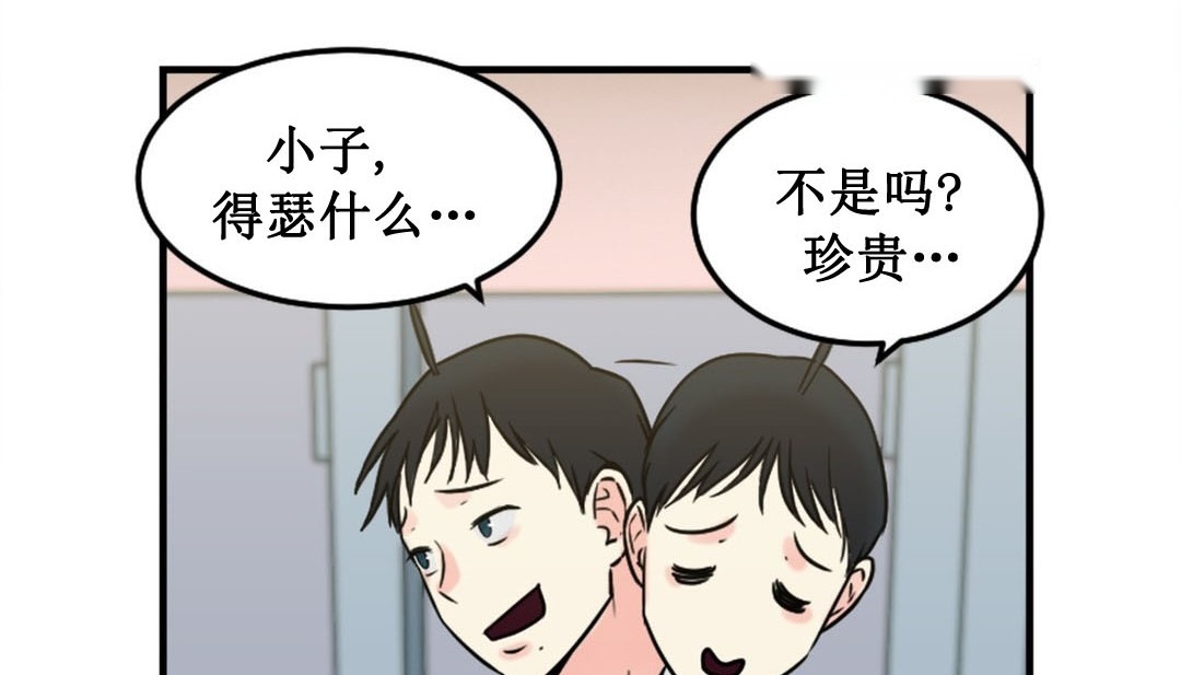 第233页