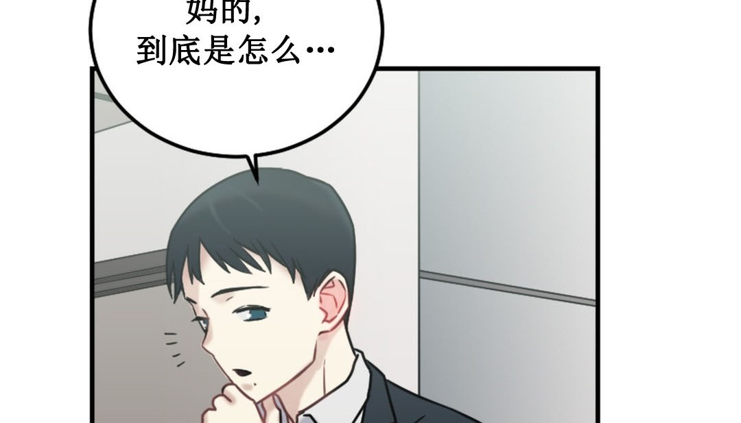 第246页
