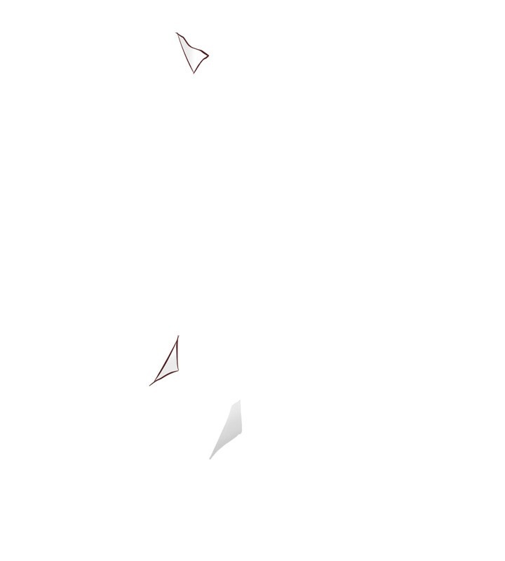 第216页
